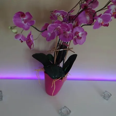 Dream Views * Torrevieja